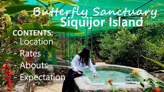 Butterfly Sanctuary at Siquijor Island Philippines [upl. by Erick]