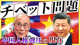 【チベット問題】わかりやすく解説！驚愕の人権弾圧！民族浄化の実態とは？ [upl. by Mott]