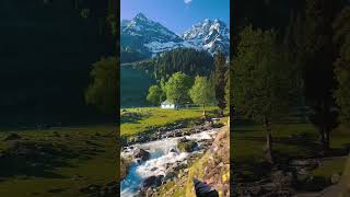 Shakun Himachal lovesongs manjuthakur 0008 [upl. by Otsirc]