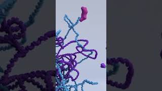 Are mutations good or bad genetics animation geneticdiversity facts biology mutation [upl. by Garin]