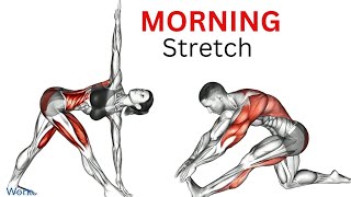 Do These Stretches Every Morning [upl. by Auqinet]