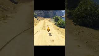 GTA V MACHHLIYAN CHORI KAISE KI TUNE 😭😱 gta neerajgamingofficial shorts [upl. by Agamemnon302]