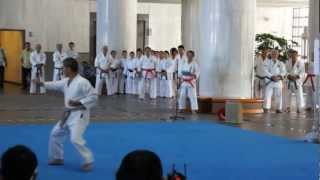 Shorinryu kata by Maeshiro Morinobu sensei to celebrate Karate Day in Okinawa [upl. by Bronez122]