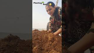 Planting🪴Gobar se allergy🥲foryou trendingshorts viralshort ytshorts minivlog [upl. by Lorenza729]