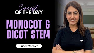 Monocot and Dicot Stem  Concept of the day  NEET 2023  NEET Biology  Rubal Wadhwa [upl. by Nosneb771]