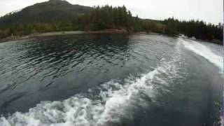 Mokai Kayaking at Eshamy Bay Lodge  Alaska [upl. by Anitnas]