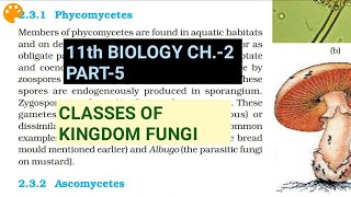 Class 11 BiologyCh2 Part5Classes of FungiStudy with Farru [upl. by Grimbly129]