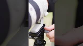 The NEEWER GM39 gimbal tripod head is you key to dynamic bird watching photos [upl. by Airpac699]