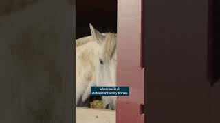 Why Chateau PontetCanet uses horses [upl. by Herod]