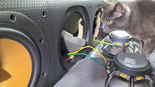 Teardown Bowers amp Wilkins speaker  Whats Inside [upl. by Atworth]