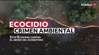 El ecocidio ¿un crimen contra la humanidad [upl. by Palmer829]