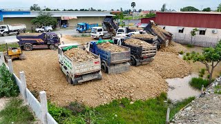 New Project Landfill Up in Flooded Areas Processing Bulldozer Push Stone with Dump Truck Unloading [upl. by Bendix]