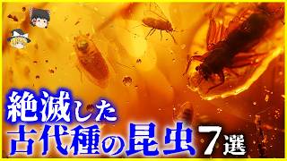 【ゆっくり解説】彼らはなぜ絶滅したのか？絶滅した古代の「昆虫」7選を解説 [upl. by Hurwitz471]