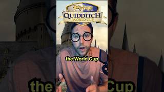 Quidditch is Dangerous… storytime shorts harrypotter [upl. by Nhguavoj]