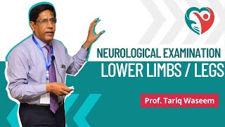 Lower Limbs  Neurological Examination by ProfTariqWaseem medical nerves doctor education [upl. by Norrehs]