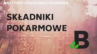 składniki POKARMOWE  ANATOMIA i FIZJOLOGIA człowieka KOREPETYCJE z BIOLOGII  258 [upl. by Ical]