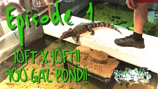 Huge Indoor Cuviers Dwarf Caiman Enclosure with Pond Build  Episode 1  Framing the Walls [upl. by Esdnil]