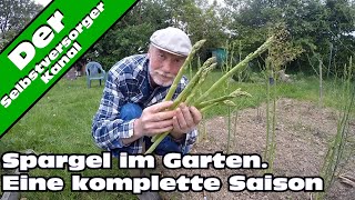 Spargel im Garten eine ganze Saison [upl. by Nimrak533]