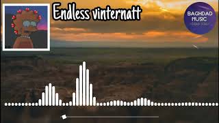 endless vinternatt  lyrics  اغنيه عندما تركتني مترجمه [upl. by Eerot]