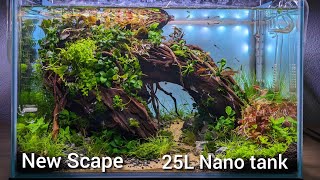 New Nano tank  Nano aquarium build Nature style layout 25L tank cinematic video [upl. by Drawyah]