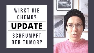 Wirkt die Chemo Schrumpft der Tumor  Krebstagebuch  Brustkrebs  Wyldest Life [upl. by Rosaleen]