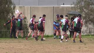 U18 Semi Final  Harlequins v MelbourneBrimbank [upl. by Tia540]