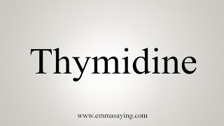 How To Say Thymidine [upl. by Einned893]