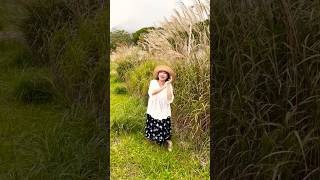 AT 仙石原すすき草原⛰️🌾Sengokuhara Susuki grasslands part 1 [upl. by Vona]