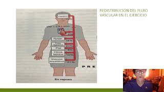 Adaptaciones cardio vasculares al ejercicio [upl. by Ji]