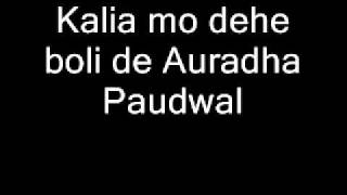 Kalia mo dehe boli de Anuradha Paudwal [upl. by Nylloc]