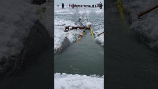 Ice fishing net hoisting process [upl. by Airec]