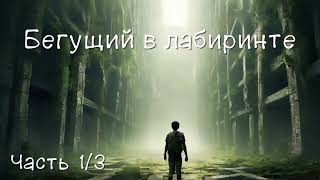 Бегущий в лабиринте Часть 13 Аудиокнига [upl. by Ardnak]