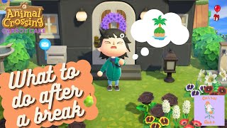 What to do When Coming Back to Animal Crossing After a Break [upl. by Yecaw]