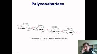 Chapter 22 – Carbohydrate Chemistry Part 3 of 3 [upl. by Etterb518]