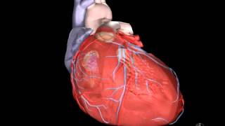 What Is Heart Failure [upl. by Diet]