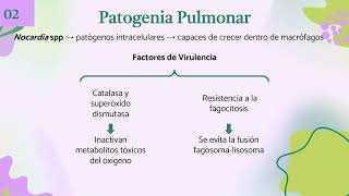 Afectación pulmonar por Nocardia a propósito de un caso [upl. by Snebur94]