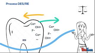 Proceso Desmineralización Remineralización Unidad V [upl. by Cardon]