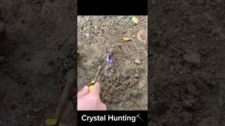 I found some purple stones while digging by the seacrystals crystalstonecrystalhunting [upl. by Orhtej]