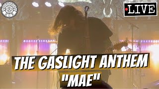 The Gaslight Anthem quotMaequot LIVE [upl. by Asira486]