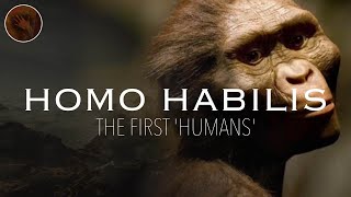 Homo Habilis The First Humans  Prehistoric Humans Documentary [upl. by Browne595]