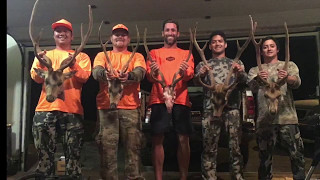 Lanai Axis Deer Hunt Big Bucks [upl. by Venetia72]