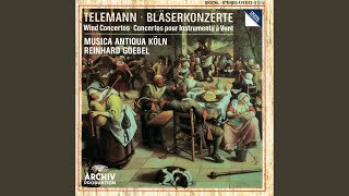 Telemann Concerto in D Major for Transverse Flute Strings and Basso Continuo  I Moderato [upl. by Einnahpets475]