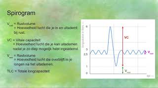 Totale longcapaciteit  Spirogram lezen [upl. by Albemarle]