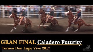 CALADERO gran final Futurity  Don Lupe Vive 2017 [upl. by Dygal]