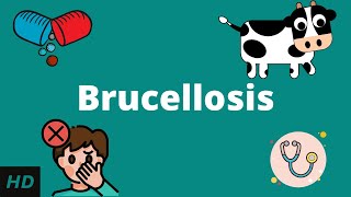 Brucellosis Causes Signs and Symptoms Diagnosis and Treatment [upl. by Woods]