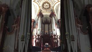 Larghetto from Persichetti Sonata for Organ  MaryKatherine Fletcher  Methuen Memorial Music Hall [upl. by Kuehnel]