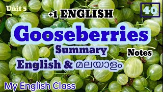 Gooseberries summary in Malyalam Plus one English chapter summary in Malyalam summary notes exam [upl. by Gnilyam]