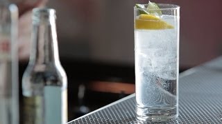 How to Make the Gin amp Tonic  Liquorcom [upl. by Dagna]