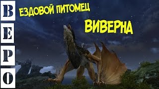 ArcheAge 29 ВИВЕРНА  Новый Пет с Замка [upl. by Leahcimdivad424]