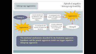 Intergroup Relations Causes [upl. by Mundy]